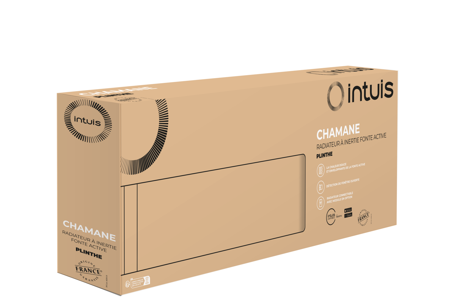 Chamane intuis plinhe colis