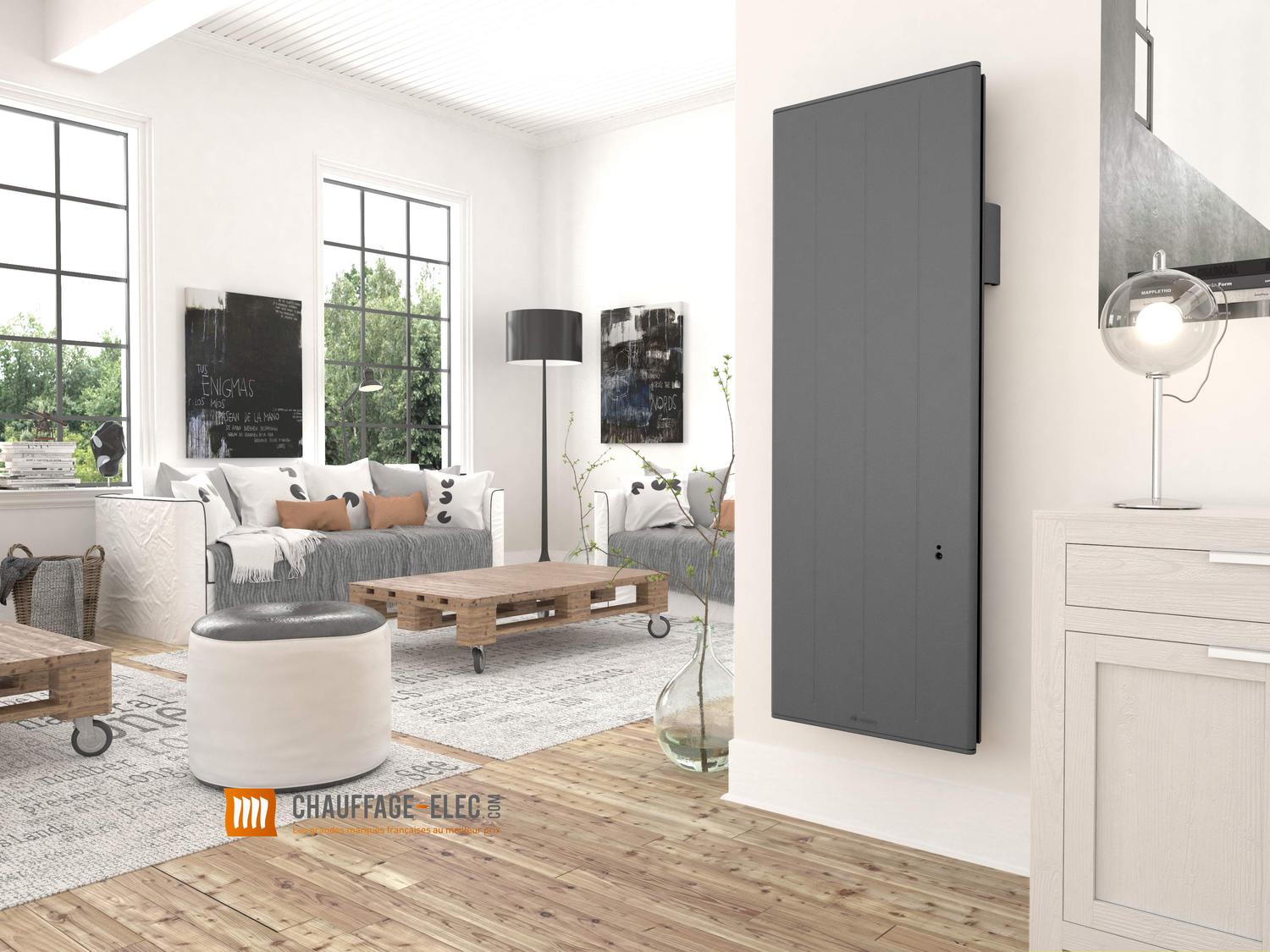 Chaleur douce réactive ovation 3 vertical gris ardoise thermor ...